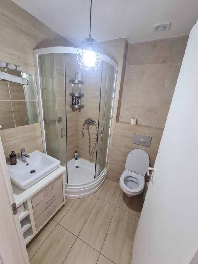 Cosmopolis Studio 1 Stefanestii de Jos Zewnętrze zdjęcie